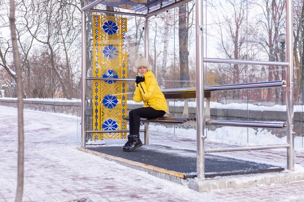 Jak płozy śniegowe do wózka widłowego mogą ułatwić odśnieżanie?